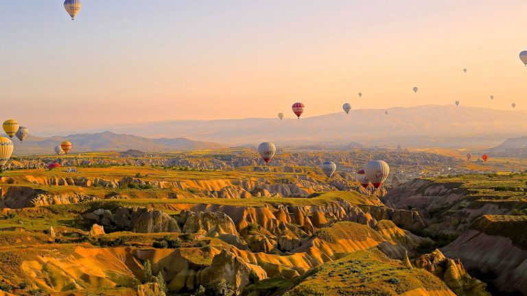 Les activités en Europe